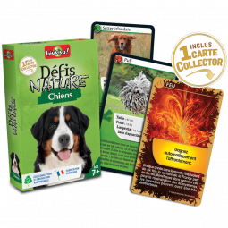 Défis Nature Chiens Bioviva Ikaipaka jeux & jouets Royan