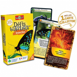Défis Nature Insectes Bioviva Ikaipaka jeux & jouets Royan