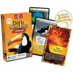 Défis Nature Oiseaux Bioviva Ikaipaka jeux & jouets Royan