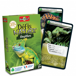 Défis Nature Reptiles Bioviva Ikaipaka jeux & jouets Royan