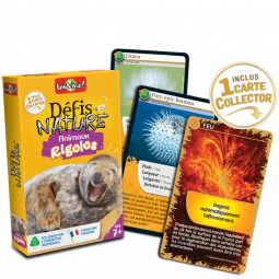 Défis Nature Animaux rigolos Bioviva Ikaipaka jeux & jouets