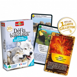Défis Nature Animaux inséparables Bioviva Ikaipaka jeux &