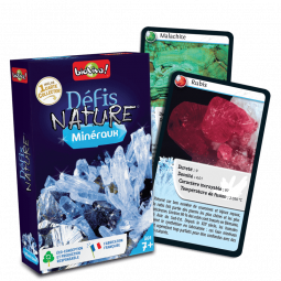 Défis Nature Minéraux Bioviva Ikaipaka jeux & jouets Royan