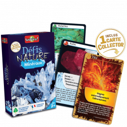 Défis Nature Minéraux Bioviva Ikaipaka jeux & jouets Royan