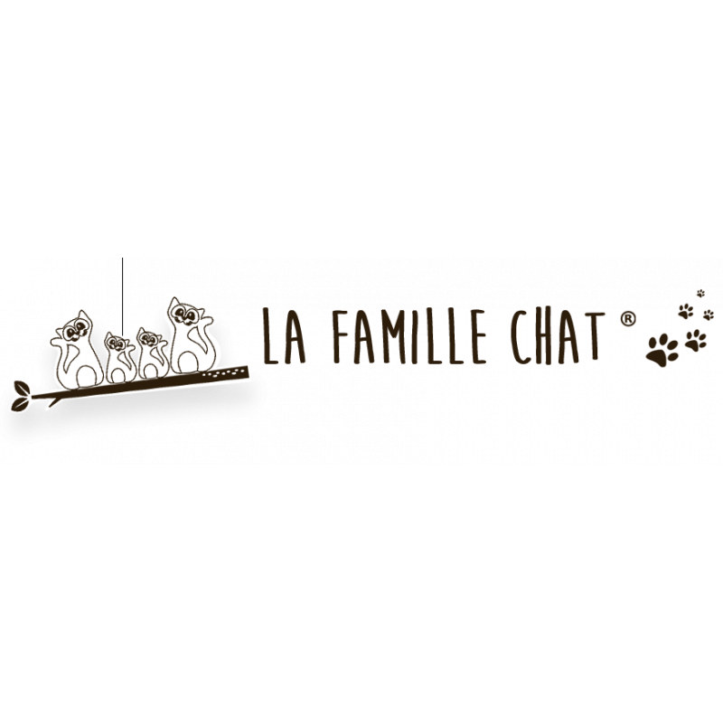 Famille Chat 2 adultes 2 enfants - IkaIpaka Royan