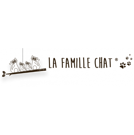 Famille Chat Solo - IkaIpaka Royan