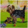 Crystal Art Yorkshire Oz Ikaipaka jeux & jouets Royan