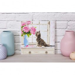 Crystal Art Tableau Chaton à la fenêtre Oz Ikaipaka jeux &