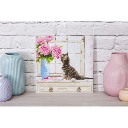 Crystal Art Tableau Chaton à la fenêtre Oz Ikaipaka jeux &