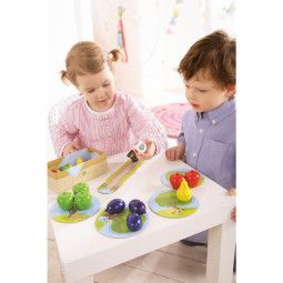 Mon Premier Verger Haba Ikaipaka jeux & jouets Royan