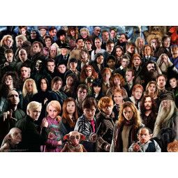 Puzzle 1000 Harry Potter (Challenge Puzzle) Ravensburger
