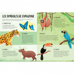 Puzzle + Livre L'Amazonie Sassi Ikaipaka jeux & jouets Royan