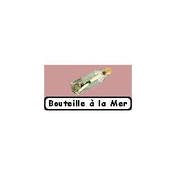 Bouteille à la mer - IkaIpaka Royan