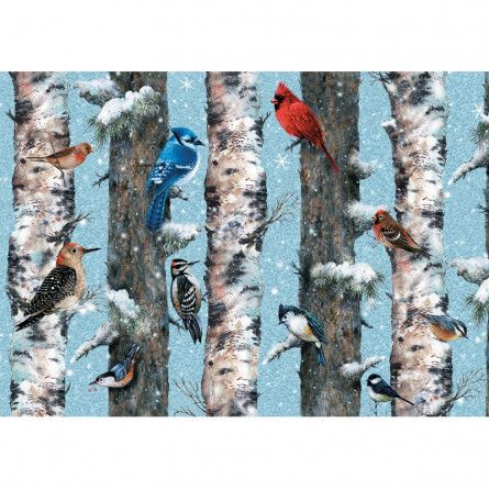 Puzzle 1000 Oiseaux d'Hiver Piatnik Ikaipaka jeux & jouets Royan