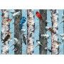 Puzzle 1000 Oiseaux d'Hiver Piatnik Ikaipaka jeux & jouets Royan