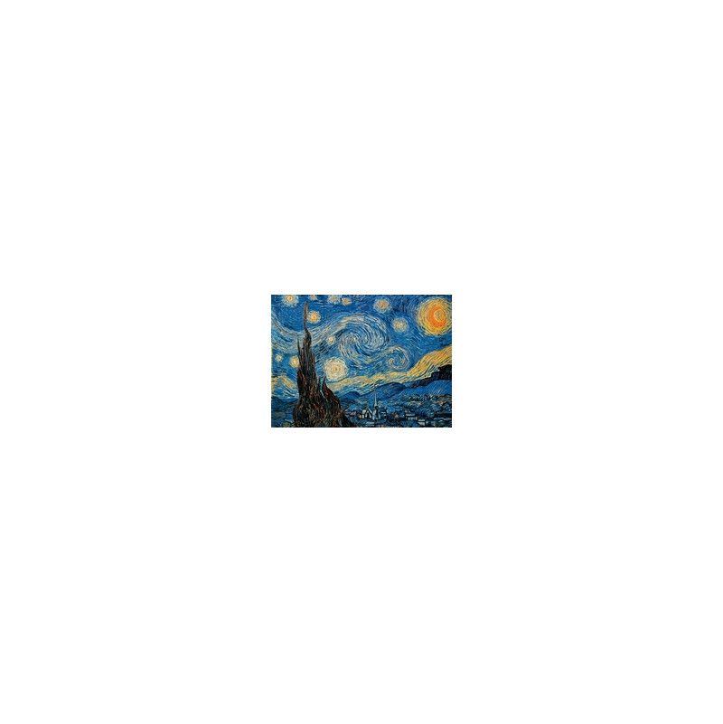 Puzzle 1000 p VAN GOGH - NUIT ETOILEE  Ikaipaka jeux & jouets