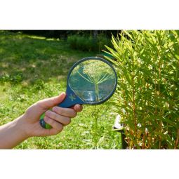 Terra Kids Loupe pour enfants Haba Ikaipaka jeux & jouets Royan