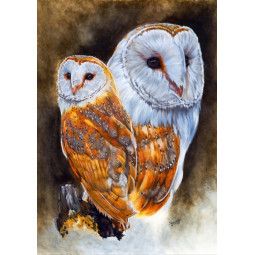 Puzzle 1500p Lustrous BlueBird Ikaipaka jeux & jouets Royan