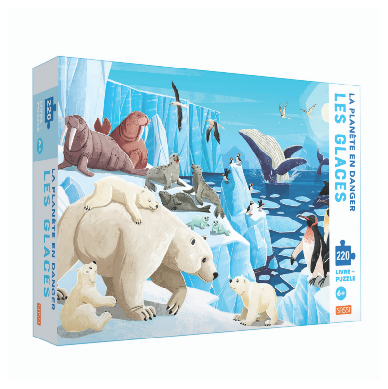 Puzzle + Livre Les glaces Sassi Ikaipaka jeux & jouets Royan