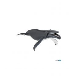 Baleine à bosse Papo Papo Ikaipaka jeux & jouets Royan