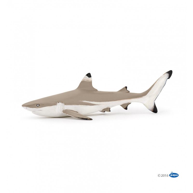 Requin à pointes noires Papo Papo Ikaipaka jeux & jouets Royan