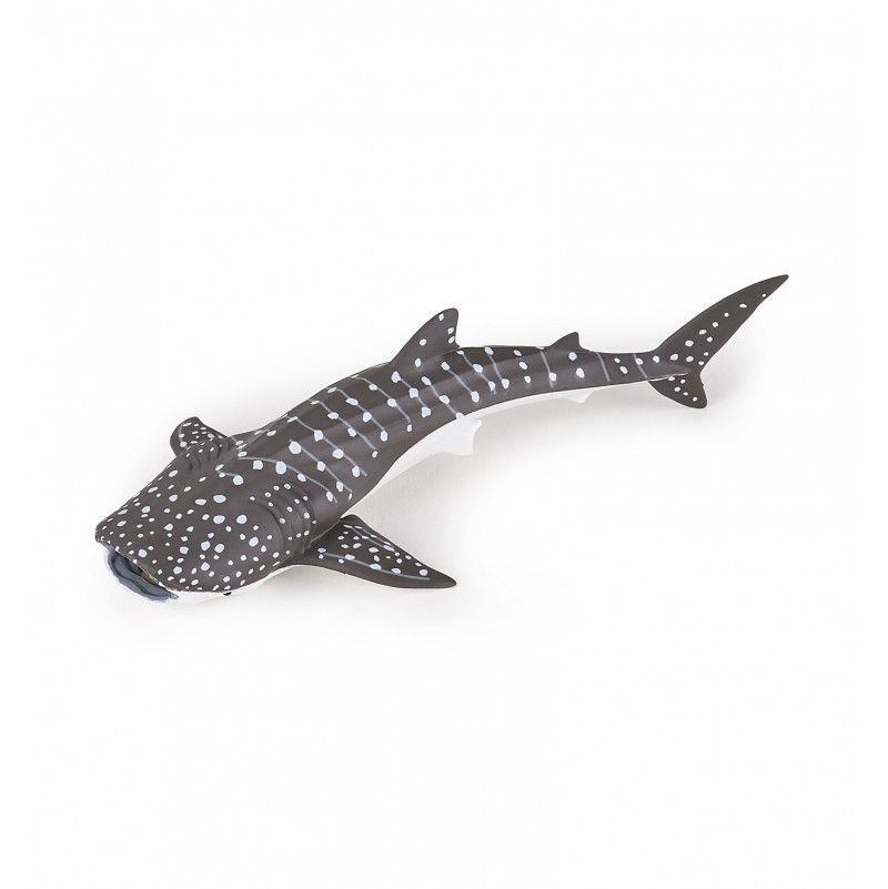 Jeune Requin Baleine Papo Papo Ikaipaka jeux & jouets Royan