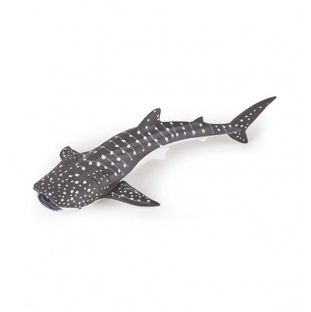 Jeune Requin Baleine Papo Papo Ikaipaka jeux & jouets Royan