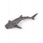 Jeune Requin Baleine Papo Papo Ikaipaka jeux & jouets Royan