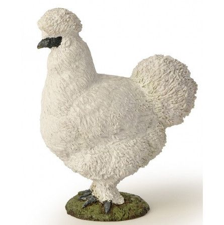 Poule Soie Papo - IkaIpaka Royan