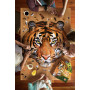 Puzzle 550p I AM Tigre - IkaIpaka Royan