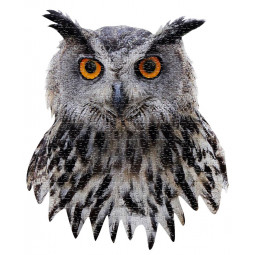 Puzzle 550p I Am Hibou - IkaIpaka Royan