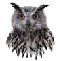Puzzle 550p I Am Hibou - IkaIpaka Royan