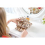 Coffret avec Ambre UGEARS - IkaIpaka Royan