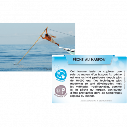 Bioviva Planète Mers et Océans  Ikaipaka jeux & jouets Royan