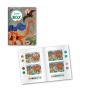 Dino Box Djeco Ikaipaka jeux & jouets Royan