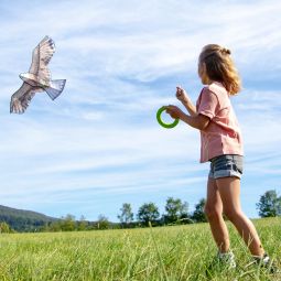 Terra Kids Cerf-volant Aigle - IkaIpaka Royan