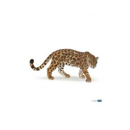 Jaguar Papo - IkaIpaka Royan