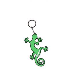 Porte-Clefs Green Geo - IkaIpaka Royan