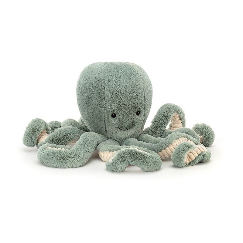 Odyssey Octopus Little - IkaIpaka Royan