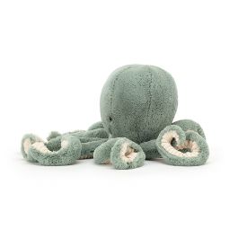 Odyssey Octopus Little - IkaIpaka Royan