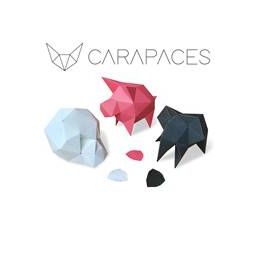 Carapaces Anthracite - IkaIpaka Royan
