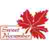 Sweet november